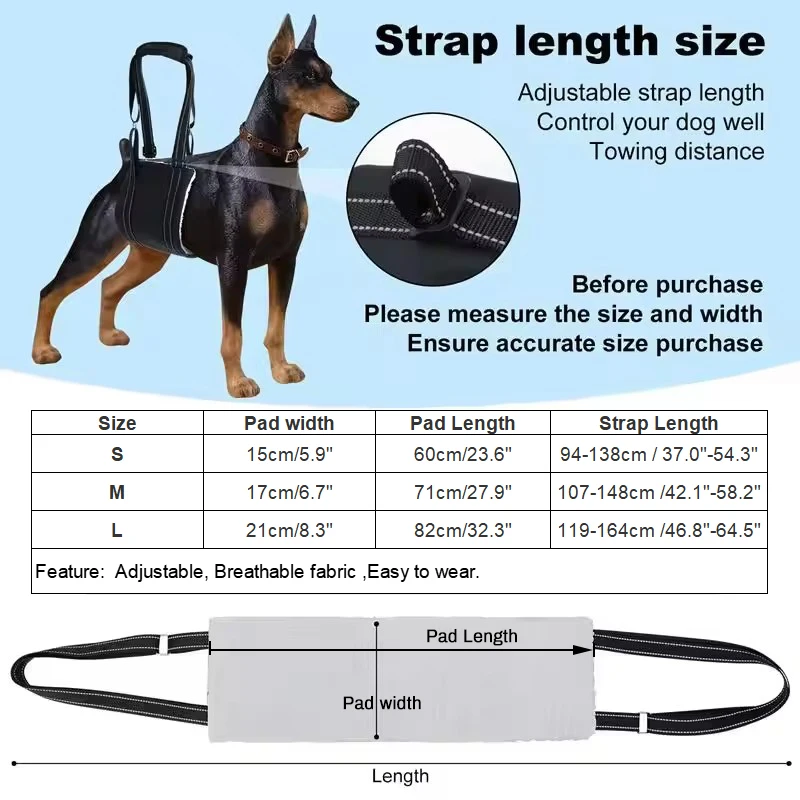 Thumbnail 3 - #40 Reflective Dog Leash Comparison Guide
