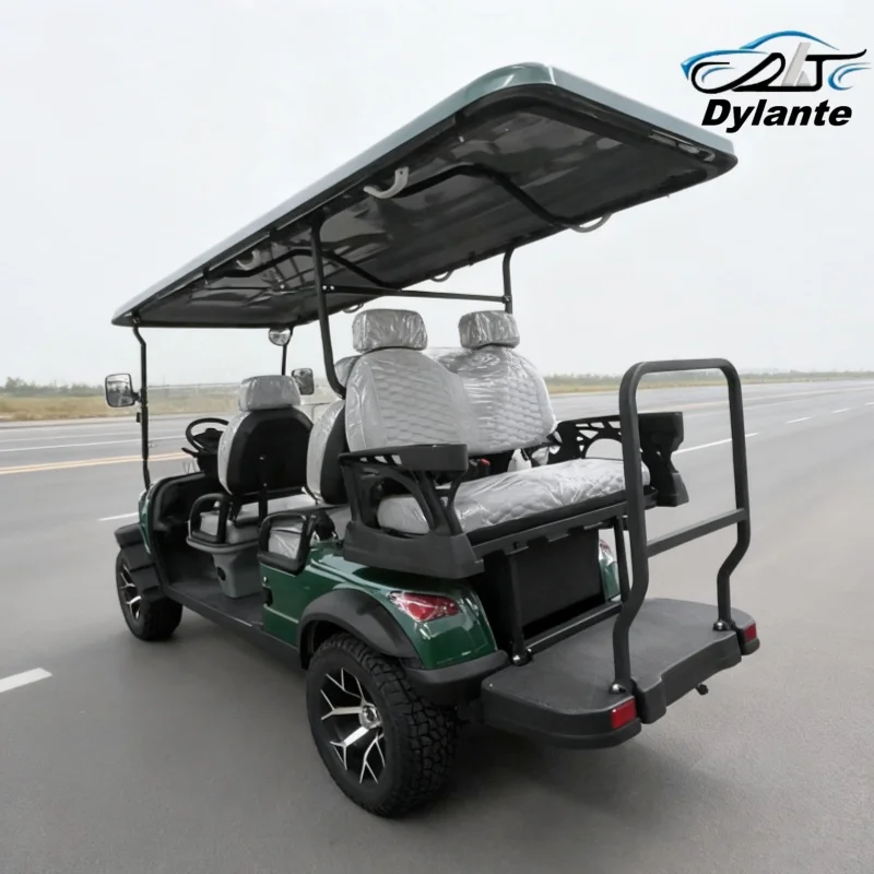 

Electric Self-Propelled Car Model D 60V Lithium Battery Powered Electric Golf Cart Super Discount Electric Golf Cart