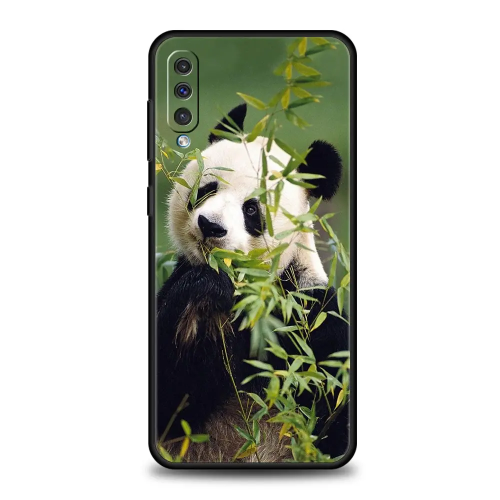 Fubao panda Phone Case For Samsung A54 A52 A24 A14 A50 A72 A70 A10 A30 A40 A20S A20E A02S A12 A22 A34 A42 A32 5G A04s Cover