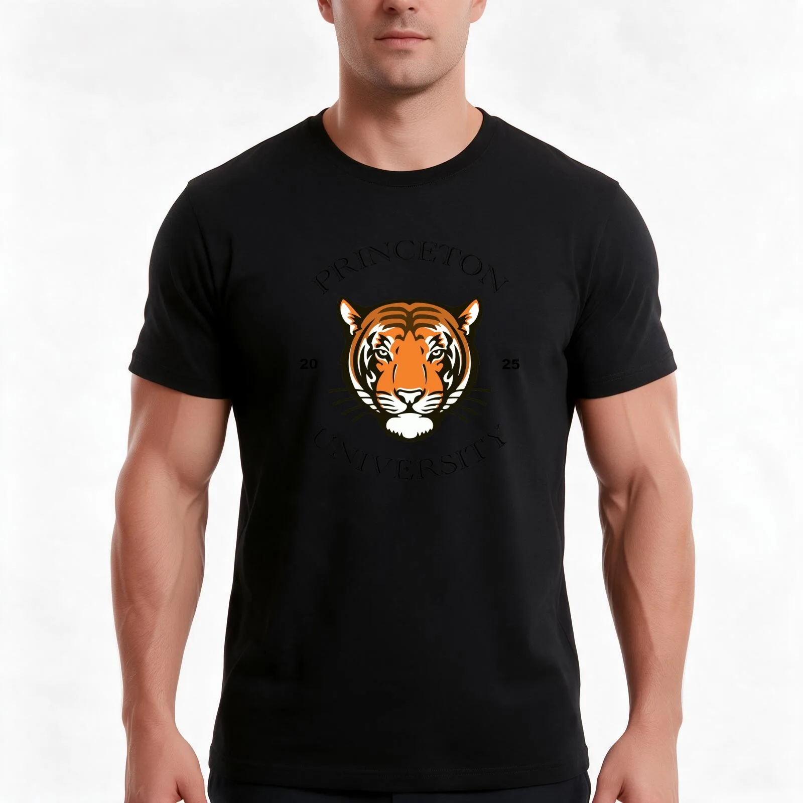 Princeton Arc 2025 T-Shirt, Summer Casual Cotton Tee, Oversized Streetwear Tops, Vintage Graphic Print, Loose Fit Short Sleeve