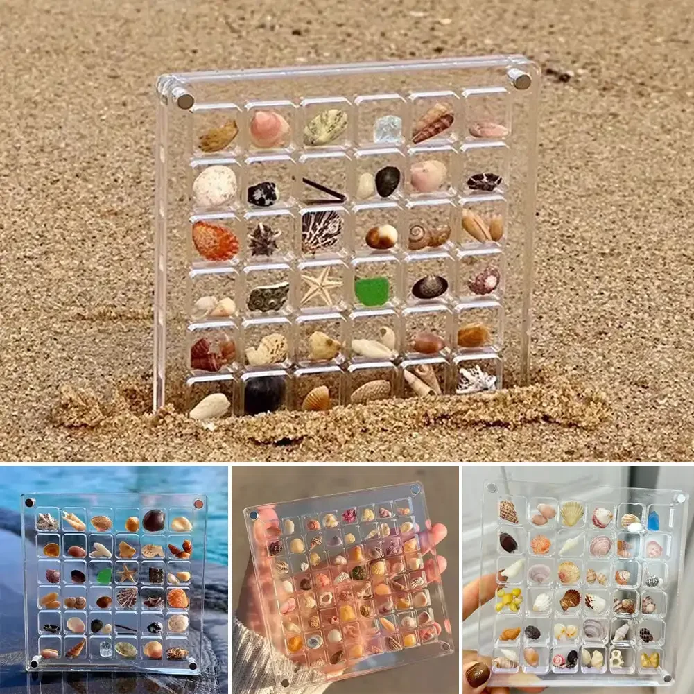 36/64/100 Grids Acrylic Magnetic Seashell Display Box Seashell Clear Starfish Trinket Organizers Mini Seashell Storage Box