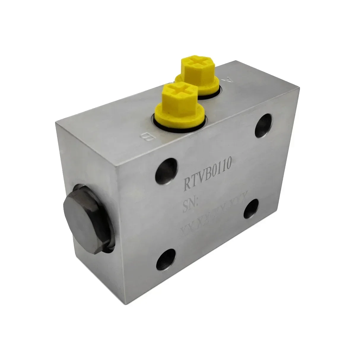 High-quality Products Two Way Hydraulic Lock RTVB0110 Integrated Group for Efficient Valve Control Suitable for Crane Outrigger