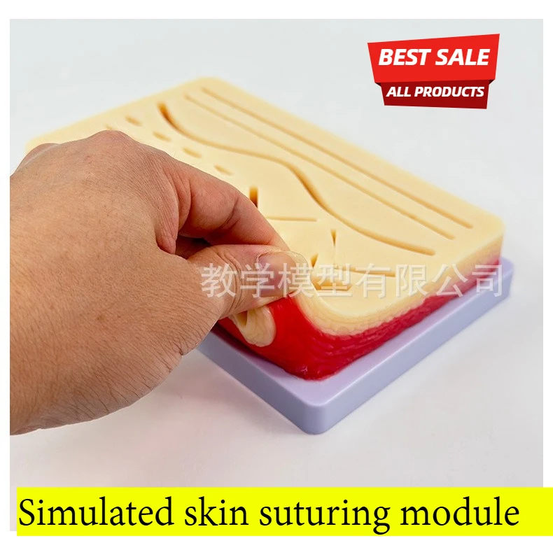 

Human imitation skin suture module, deep muscle incision and suture training model, surgical incision and suture practice
