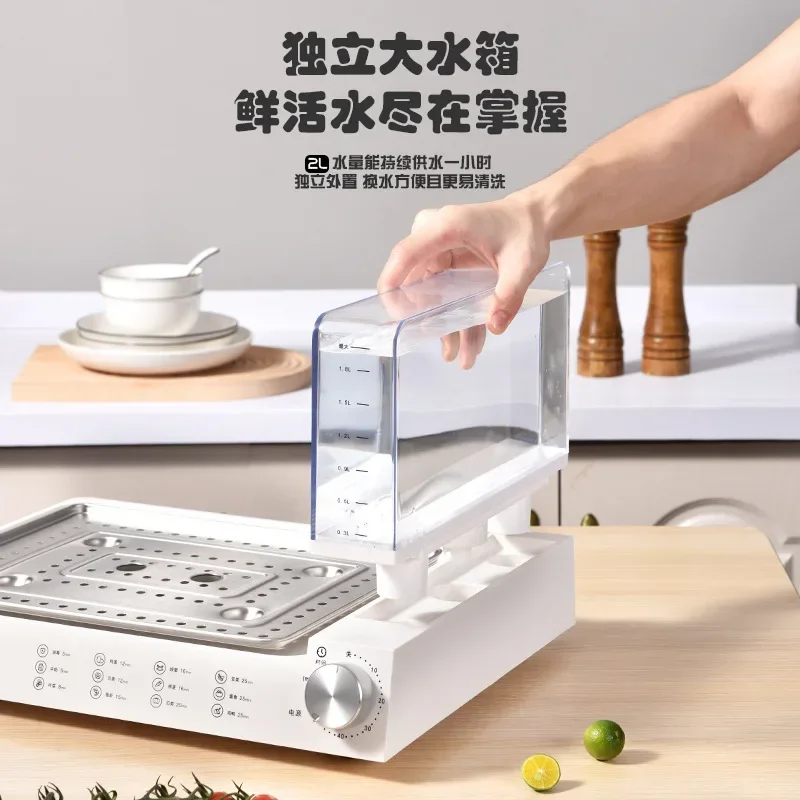 جهاز بخار منزلي كهربائي كبير ، جهاز تبخير وغليان متعدد الوظائف ، صندوق بخار ، وعاء بخار السمك على البخار