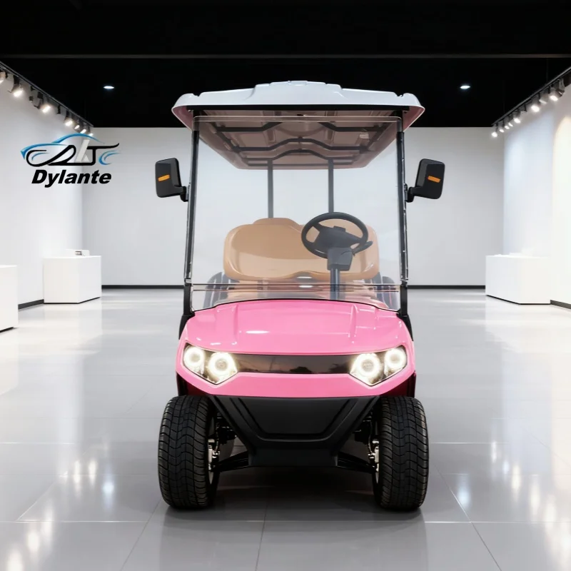 نموذج جديد E 5000 واط محرك كهربائي للصيد عربات التي تجرها الدواب سيارة جولف 60 فولت ليثيوم نادي السيارة فائدة الكبار عربة جولف كهربائية لون مخصص مجاني #2