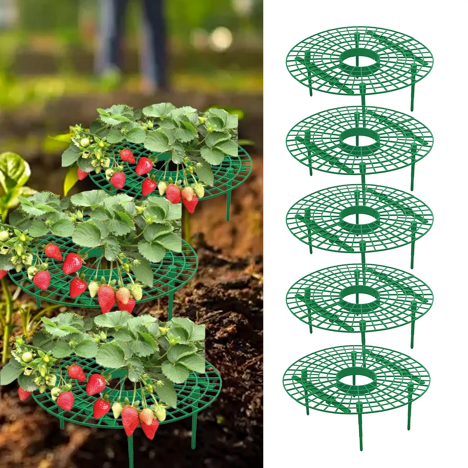 

5Pcs Strawberry Plant Support Reusable Garden Planting Protection Rack