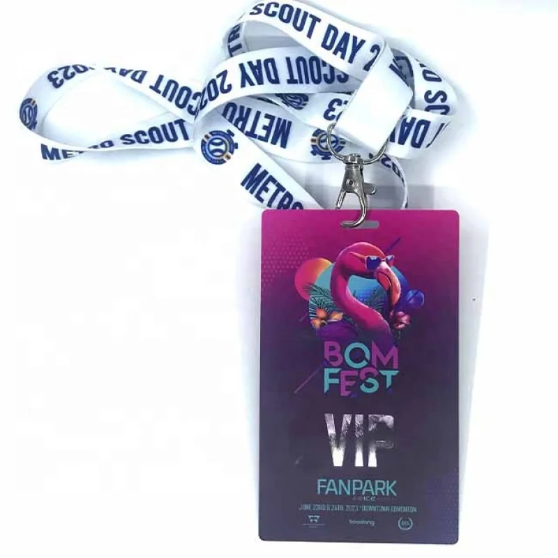 Custom Size Vip Passes Plastic PVC Full Color Printing Vip Pass Card Event Id Badge