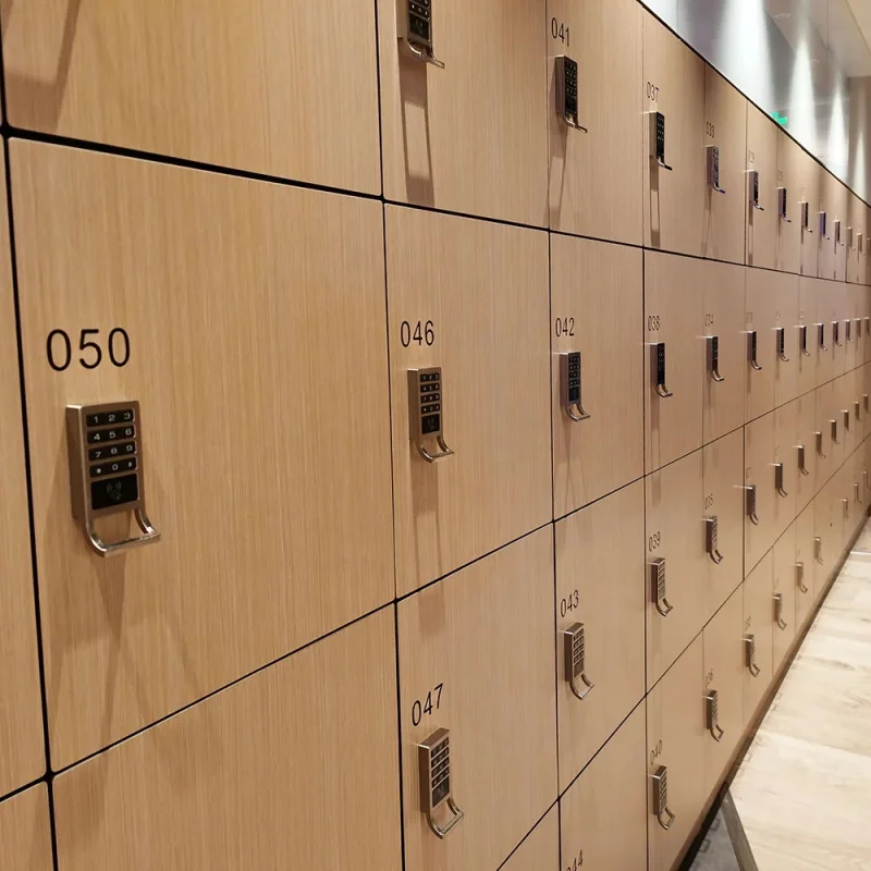custom.DEBO HPL Locker Gym Club Locker Customized with Digital Lock Flat Pack