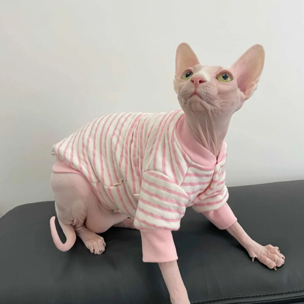 Pink Striped Cotton Jacket for Hairless Cat Soft Baseball Uniforms for Sphynx Cat Beige Spring Winter Coat For Kittens Puppies