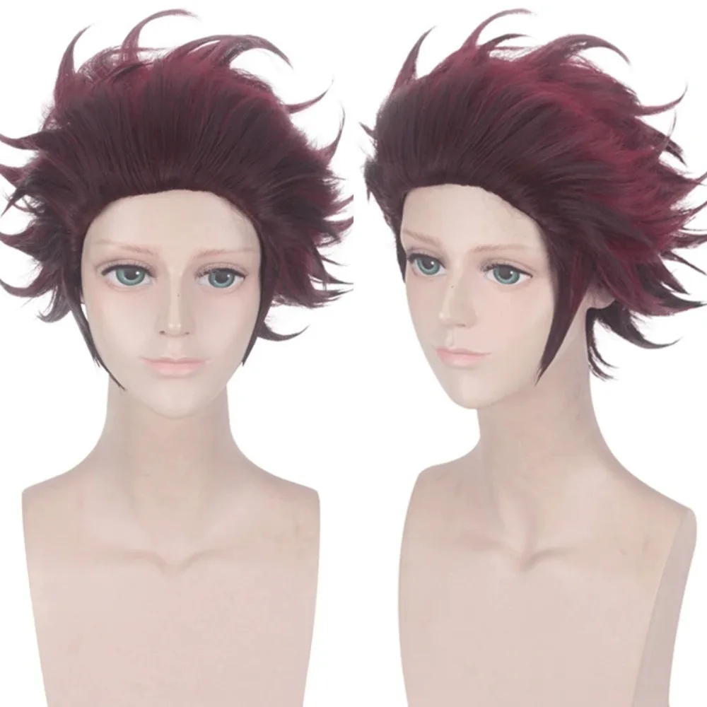 

Short Layered Synthetic Wig Anime Style Costume Cosplay Party Role Play Spiky Hair Heat Resistant Fiber