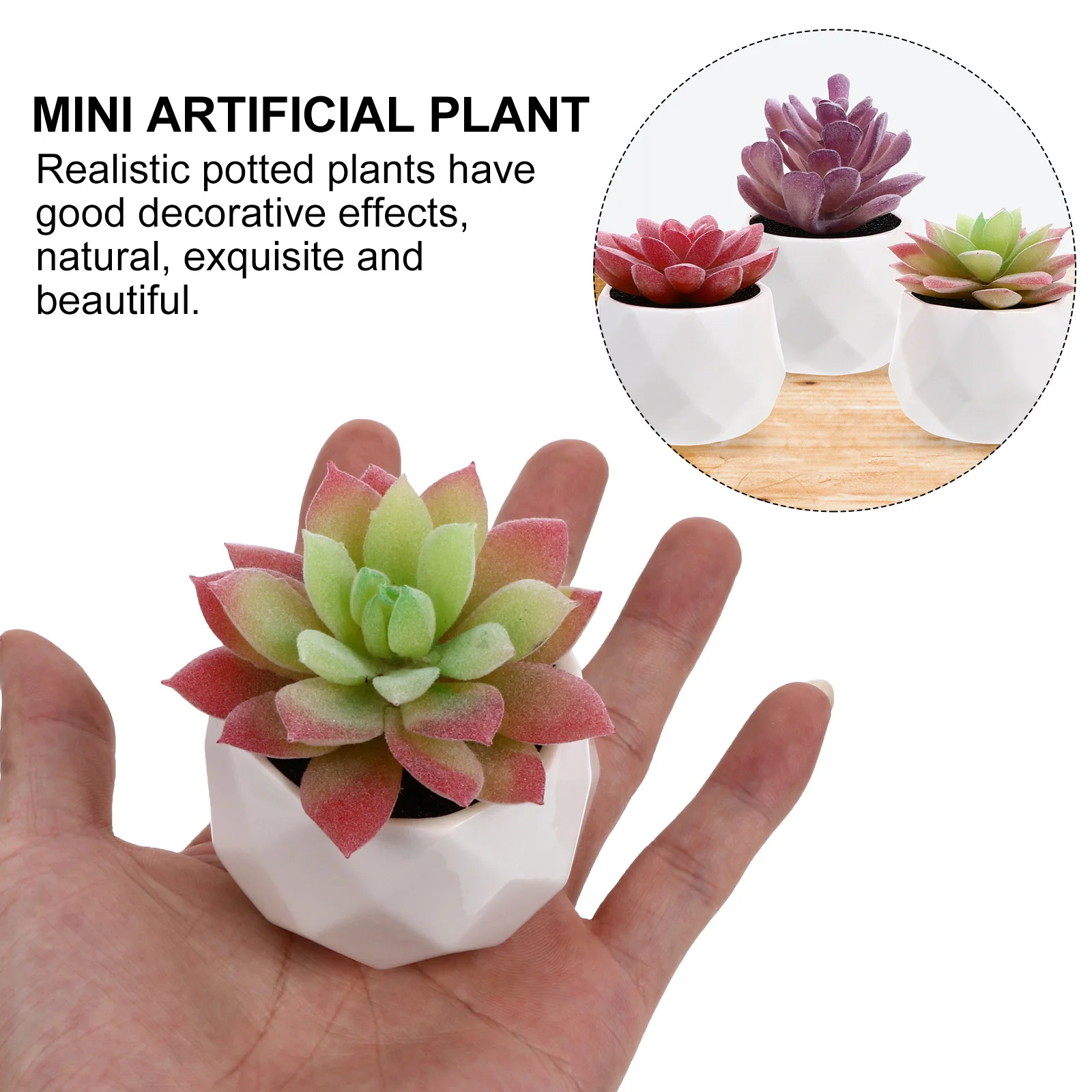 

3 Pcs Artificial Succulent Bonsai Mini PlantsPlasticFaux Green nament Desktop Reusable Easy Maintenance Free