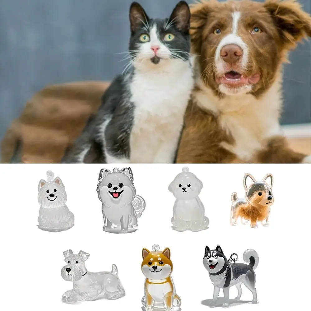 Transparent Dog Hair Collection Pendant Portable Gifts Dog Hair Storage Capsule Bichon Husky Corgi Dog Hair Storage Box