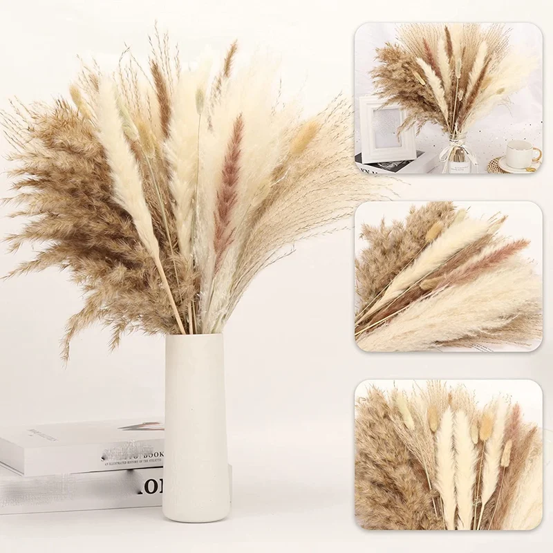 

75Pcs Dry Flowers Decoration Party Real Pampas Grass Natural Bulrush Bunny Tails Wholesale Wedding Tall Home Decor Droogbloe