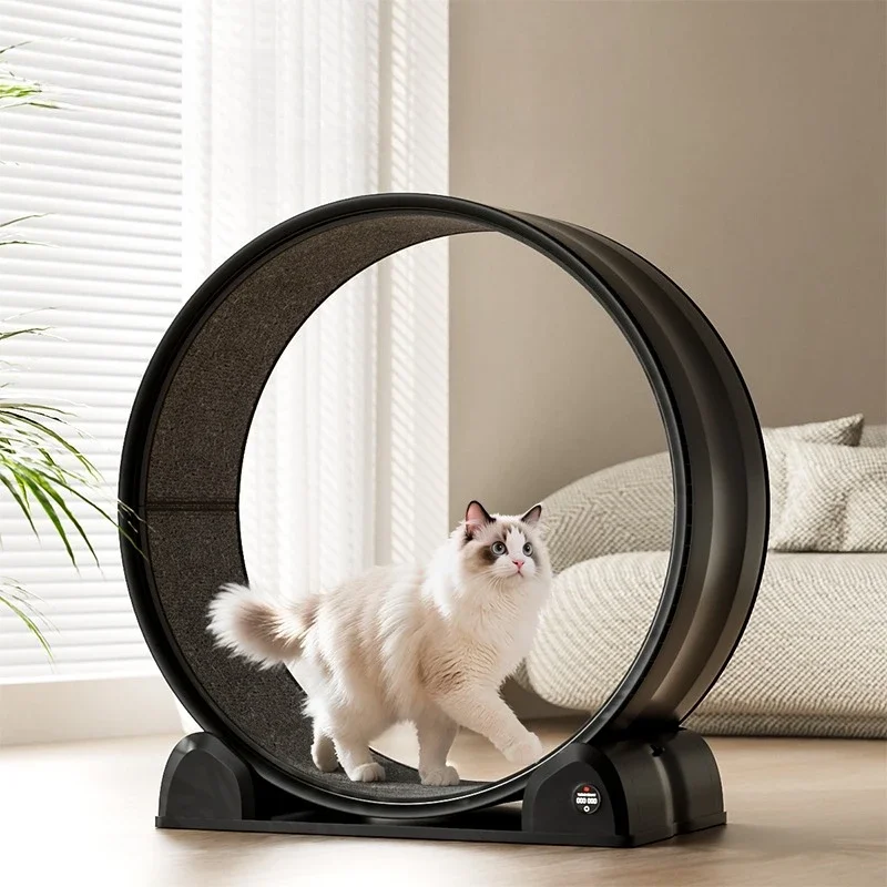 

Roller Sports Running Wheel Fitness Cat Climbing Frame Household Cat Big Cat