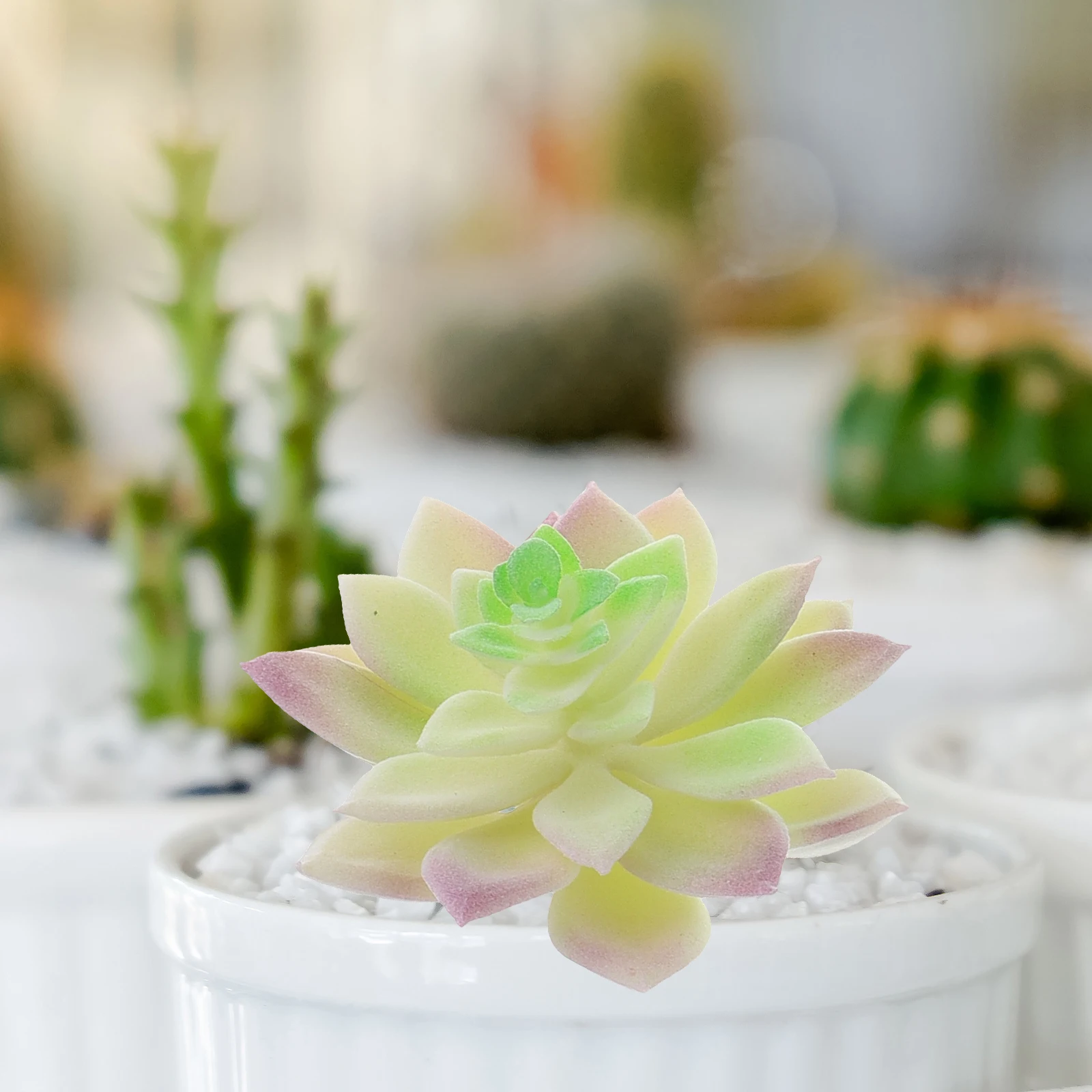 

6 Pcs Simulated Succulents Artificial Plant Faux Plants Indoor Small Fake Orchid Realistic