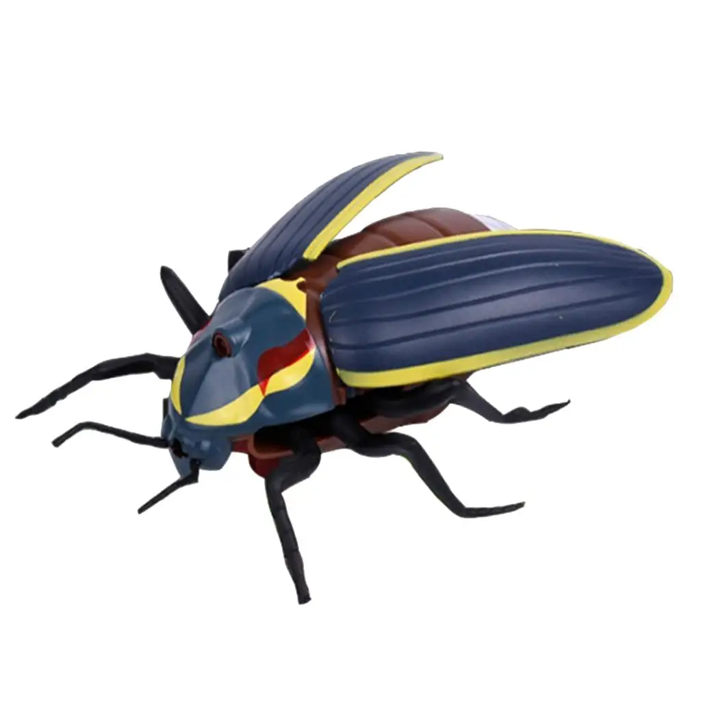 Jouet éducatif animal modèle d'insecte scientifique et nature pour enfants