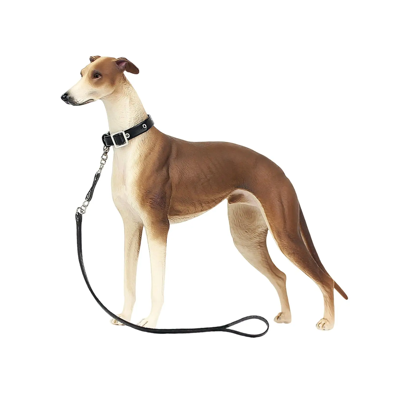 1/6 Micro Realistic Learning Toy Painted Collectibles Desktop Ornament Dog Figurine Model