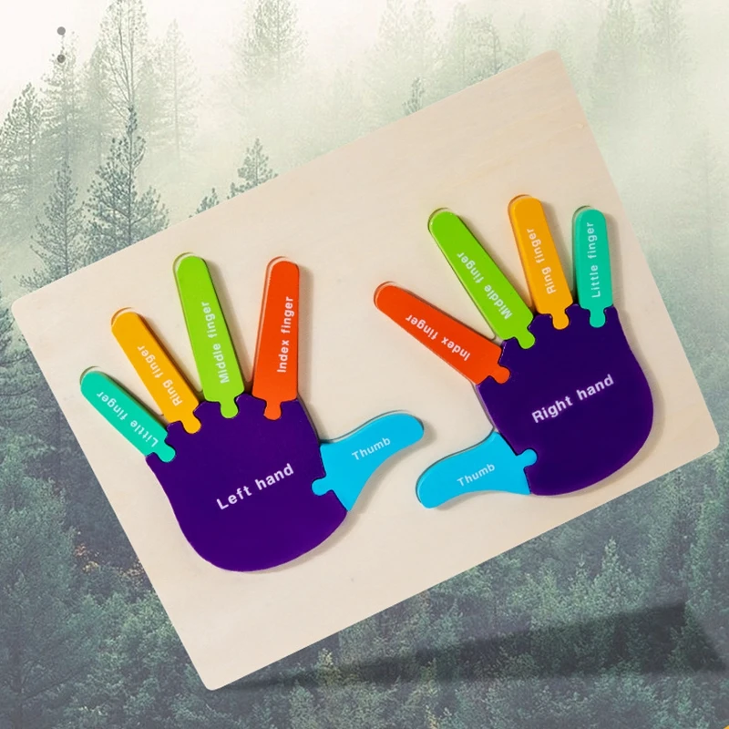 1 Pairs Palms and Soles Cognitive Puzzle Puzzle Kindergarten Children's Body Structure Cognitive Science and Education Toys