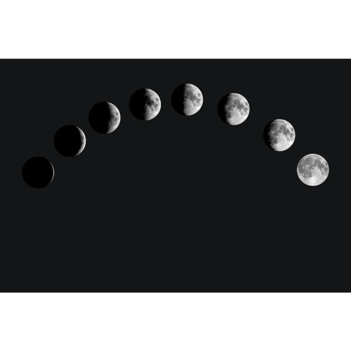 

5Packs DIY Planet Sticky Papers Moon Plants Stickers Black Kraft Thank You Stickers for Wedding Birthday Gift Envelopes