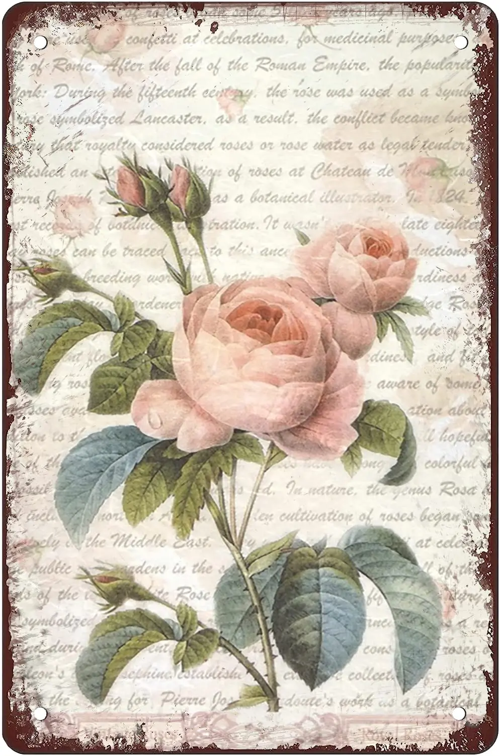 Big Vintage Rose Retro Metal Tin Sign Vintage Flowers Art Poster Print Floral Nature Plants Kitchen Garden Home Horticulture Wal