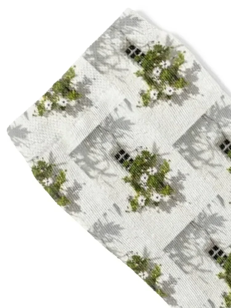 Special Gardening Creativity - Instantly Adorable African Daisies on a Stucco Wall Socks luxe designer brand Socks Ladies Men's