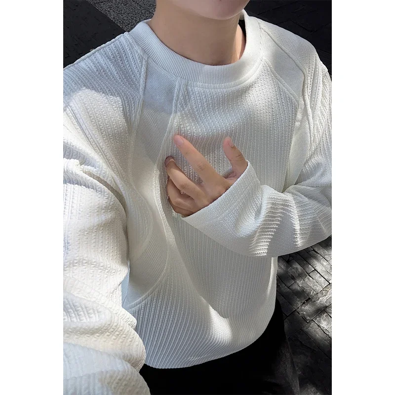 Mens Casual Crew Neck Knit Sweater Long Sleeve Vertical Texture Raglan Sleeve Soft Fabric For All Season Layering view 4