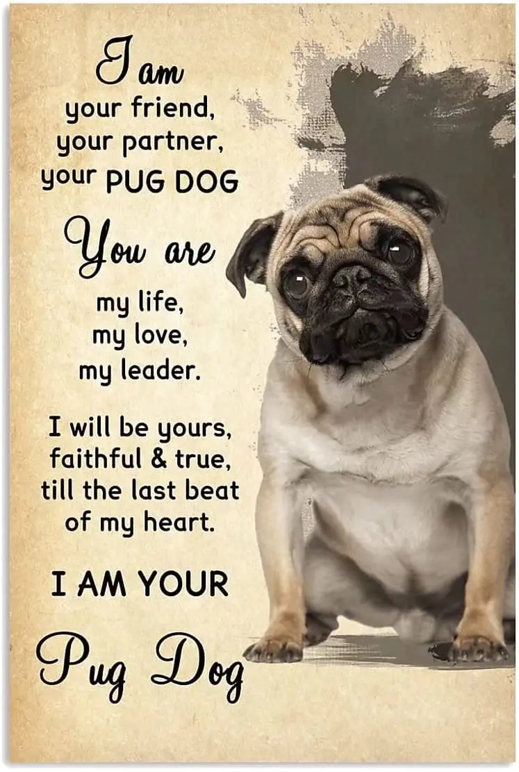 Pug Dog My Faithful Companion Metal Tin Sign Aluminum Poster Street Garage Family Cafe Bar Cave Farm Wall Bathroom Decoration 8x