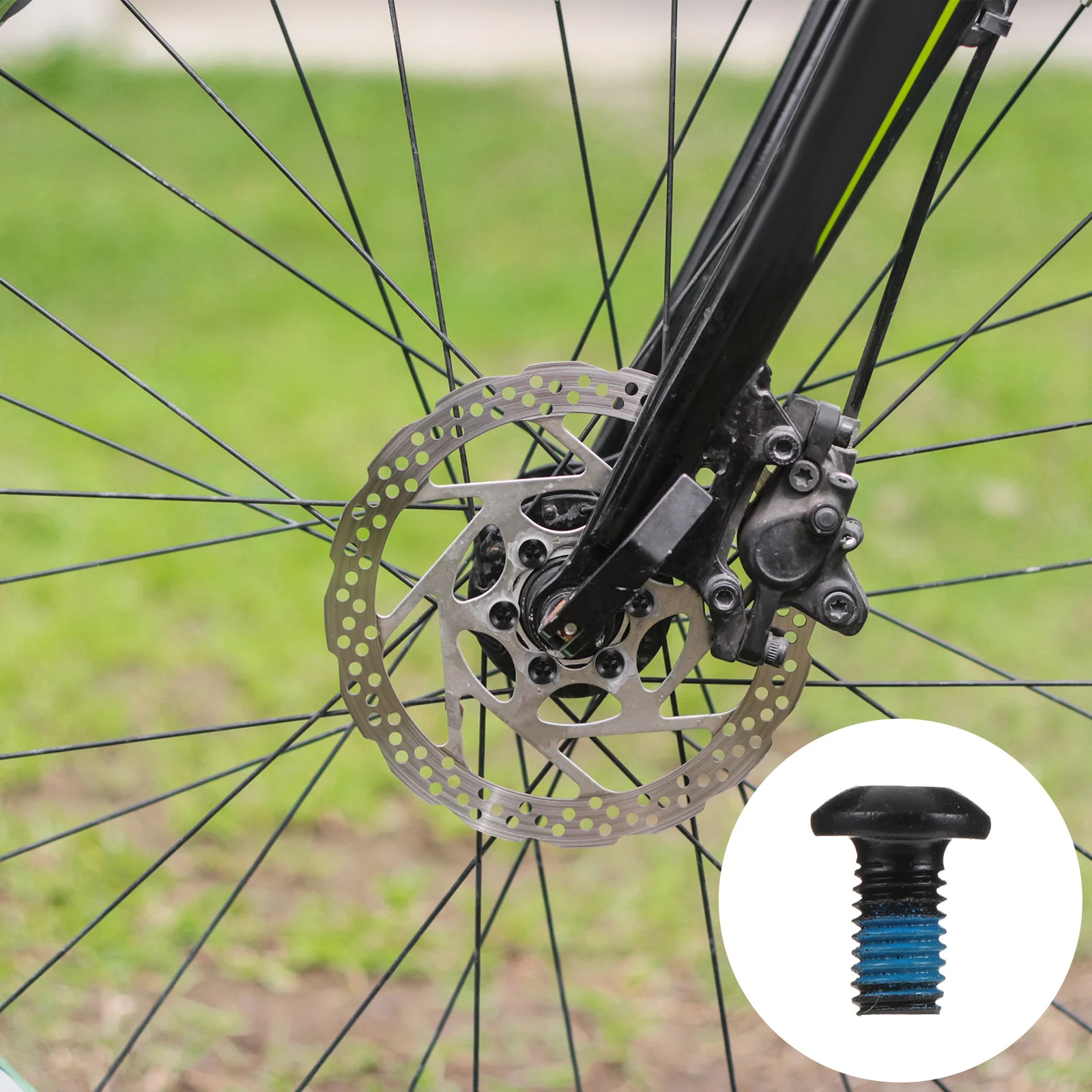 

12 pcs Colorful Disc Brake Screws Steel Bike Disc Rotor Bolts Rust-Resistant Durable Fasteners For Mtb Bicycle Screws