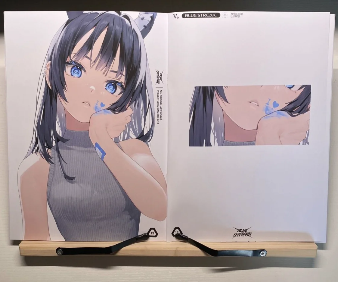 BLUE STREAK V Mashiro K-ta Art Book Anime Bunny Girl Illustration Collection Doujinshi