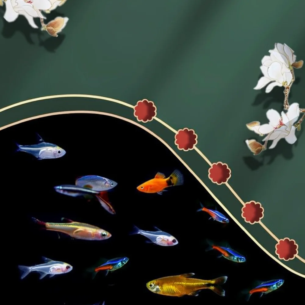 Aquarium Fish Variety - Vibrant Ornamental Zebra Fish Tropical Freshwater