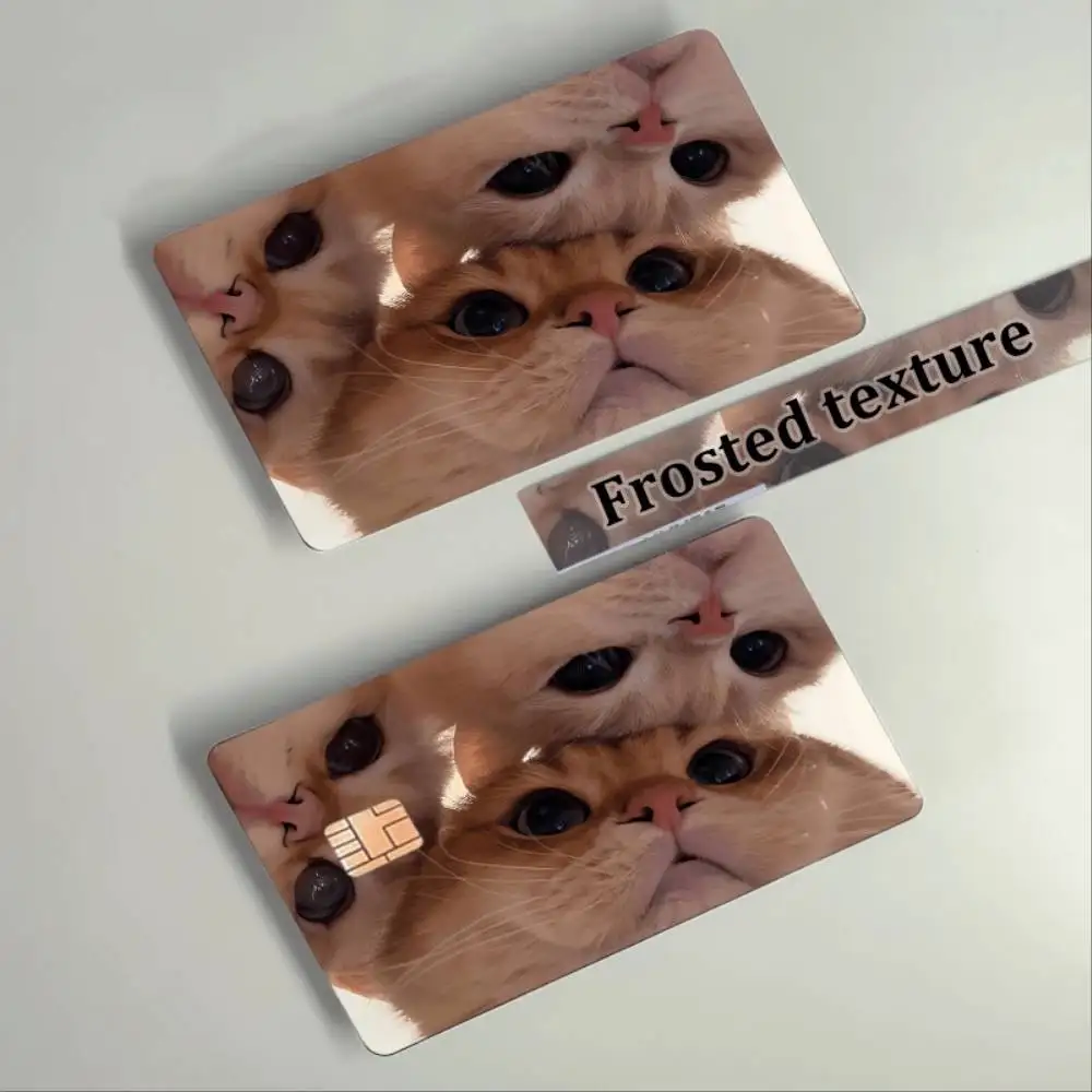 Glamorous Staring Kitten Credit Card Protector Sticker Bubble Free PVC Decal For EBT Transit Chip Bank Debit Key Cards