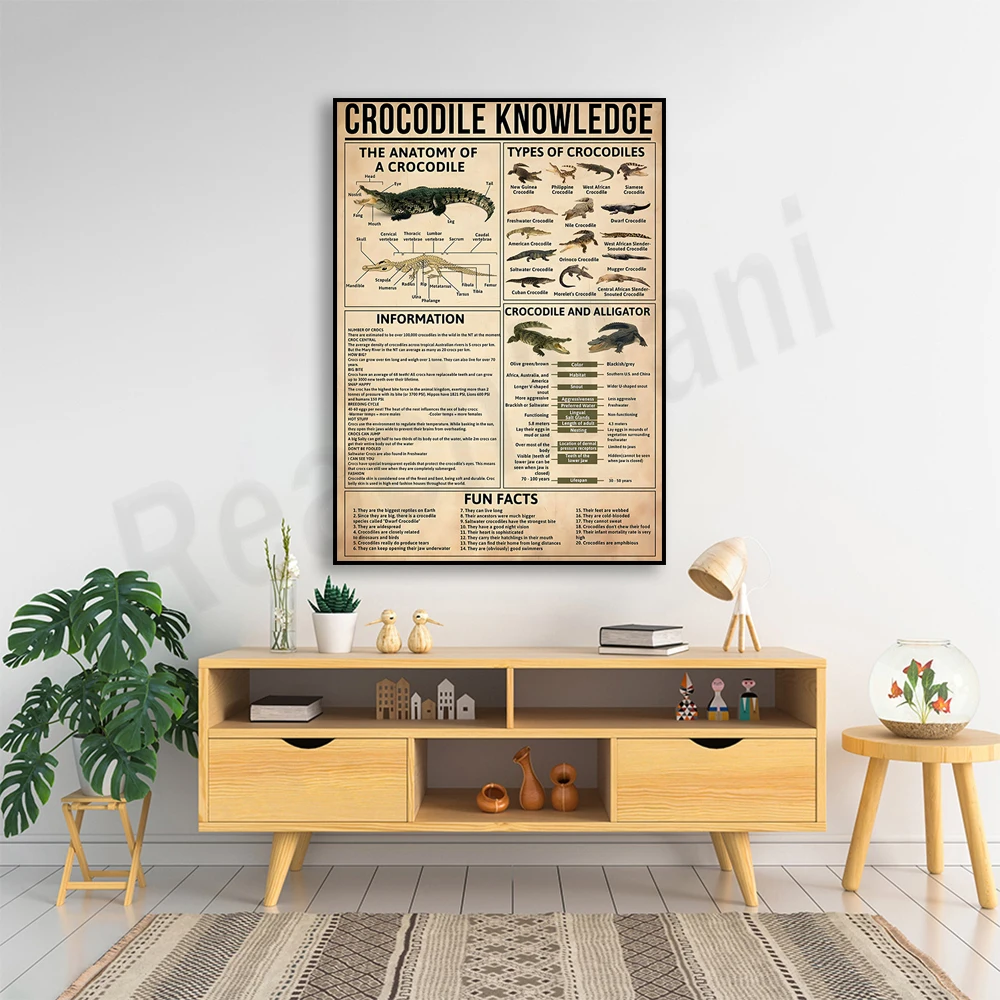 Crocodile knowledge poster, crocodile anatomy, crocodiles and alligators, types of crocodiles, crocodile interesting facts