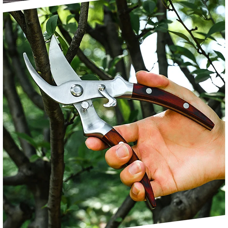 Thumbnail 3 - #39 Best Pruning Shears Cutters to Buy In 2026