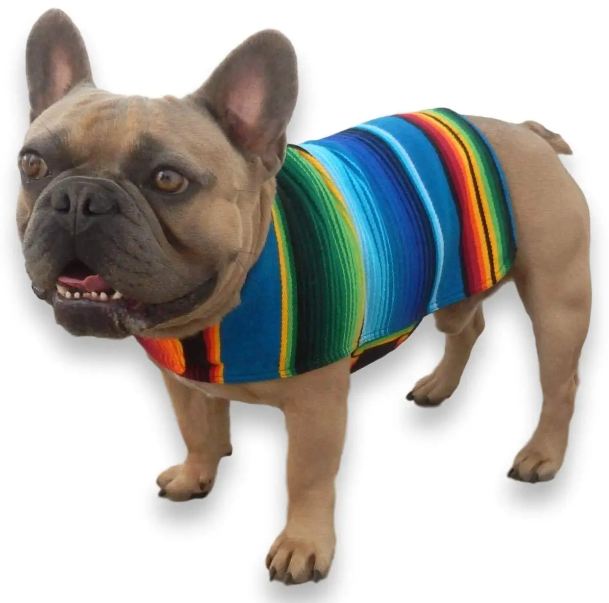 Dog Clothes Funny Dress up Dog Apparel Mexican Dog Poncho Pet Costume Pet Cloak for Carnival Party Holiday Halloween Decoration