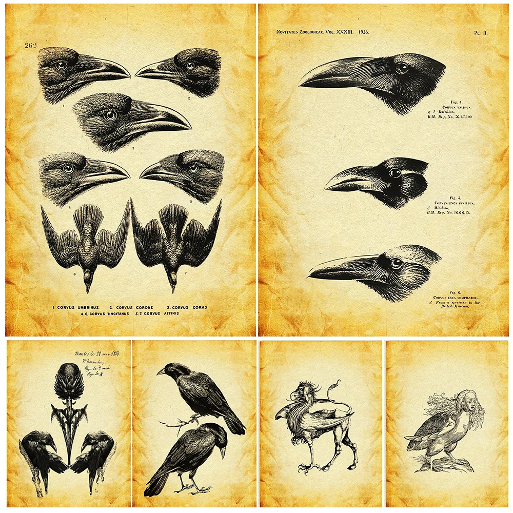 Esqueletos espeluznantes y criaturas míticas, cuadro sobre lienzo para pared Vintage, serpiente, murciélago, rana, buitre, arte gótico, póster, decoración impresa