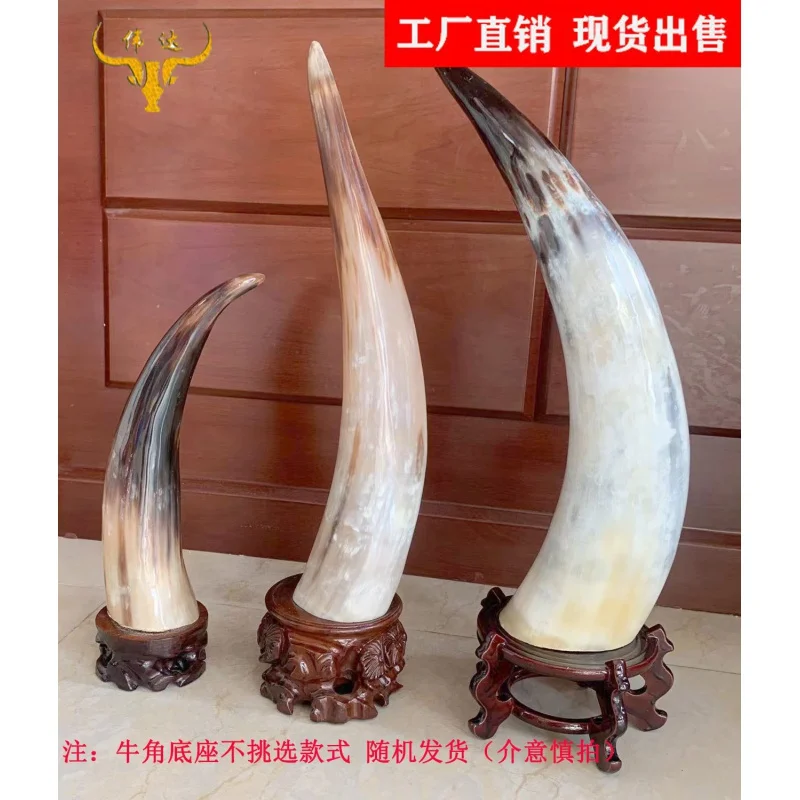 White Yak Skull Single-Angle Ornaments White Yak Skull Vertical Horn Horn Crafts Horn Comb Factory Processing Wholesale