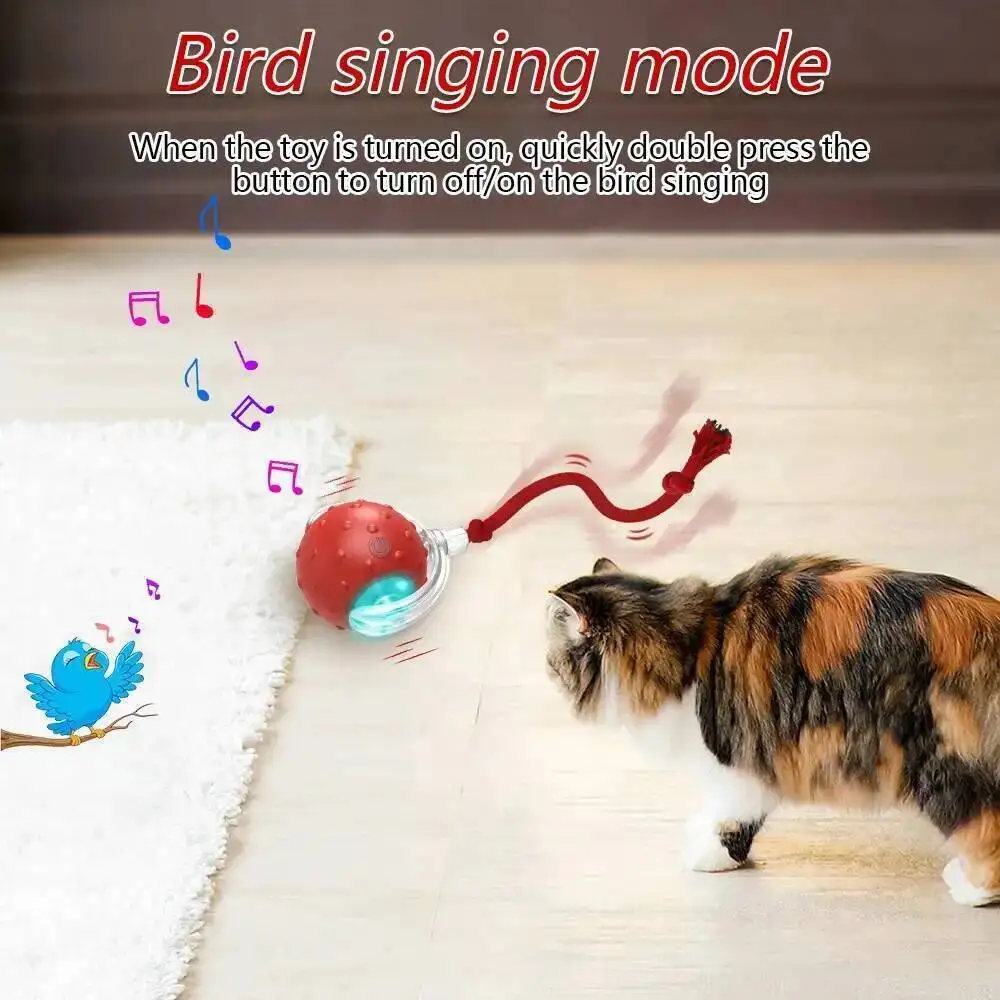 Interactive Cat Toy Ball with Bird Chirping Super Drive Cat Rolling Balls Motion Activated Sensor Pet Kittens Teaser Game Toys view 5