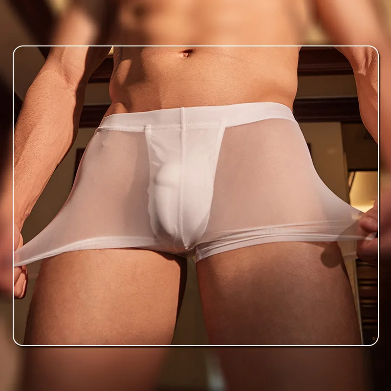Heren sexy boxers U bolle zakje lingerie onderbroek ondergoed ademend ultradunne transparante boxer bikini slip homme