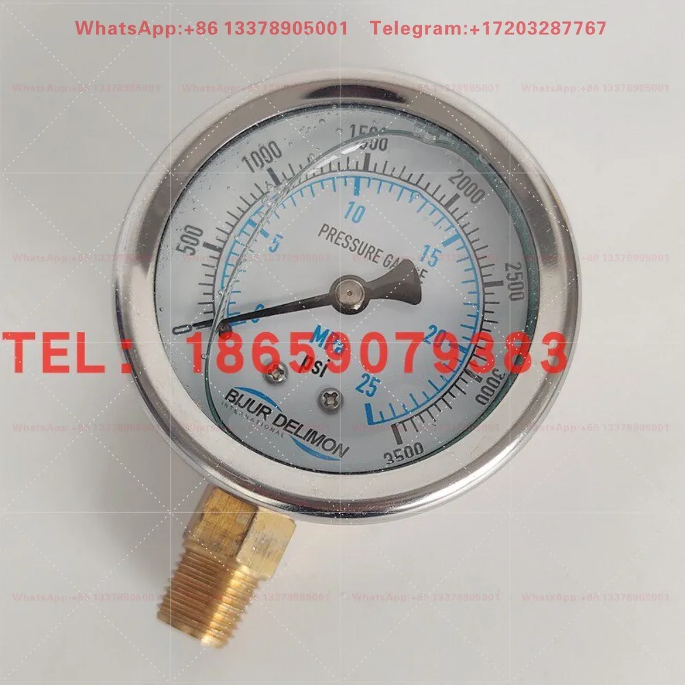 Nanjing Beiqier Lubricating Oil Pump Oilon Machine Oil Pressure Gauge 0-6MPA Pressure Gauge 43457