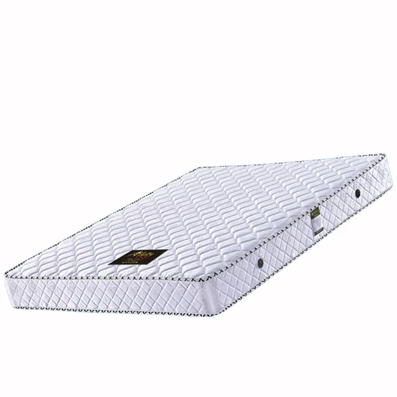 

Sponge Mattress Palm, Coconut Palm Hotel Rental House Palm
