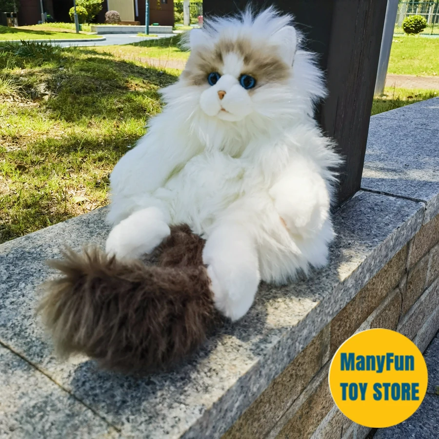 Ragdoll-Sac à Dos en Peluche pour Chat Perse, Marionnette Réaliste, Animaux en Peluche, Chiffon au Beurre, Célébrité