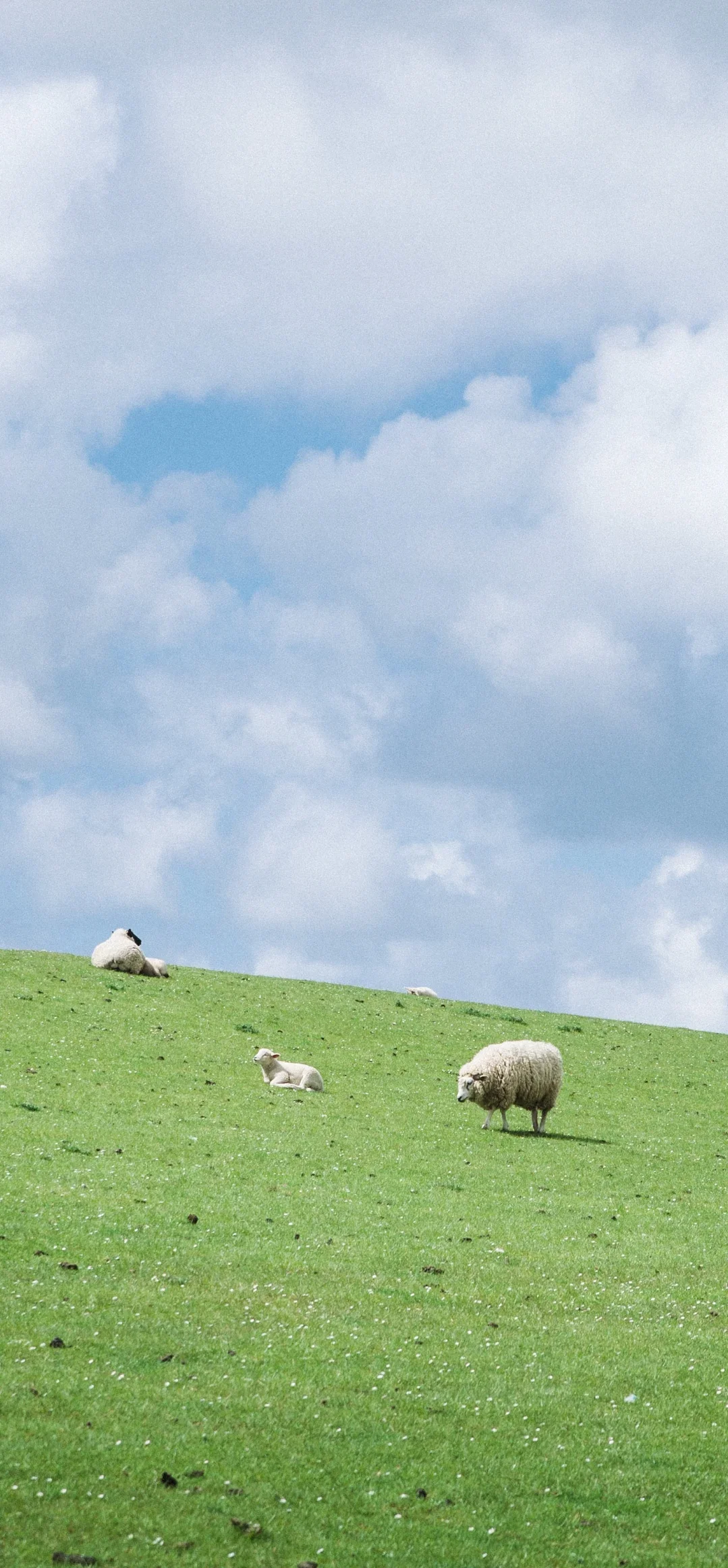 

12.3" Qualcomm 665 Android Car Monitor For Lexus ES ES300 ES250 ES350 ES300h 2012-2018 GPS Navigation Car Radio Player Carplay