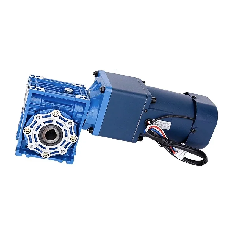 RV40 220V 60W AC Two-stage Worm Gear Dual Output Shaft Motor with Self-locking Function with Speed Regulator CW CCW