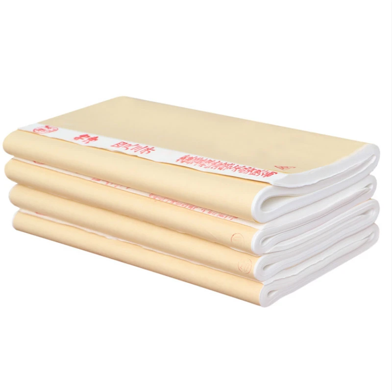 

Chinese Painting Art Rice Paper Landscape Drawing Papel Arroz Beginner Student Calligraphy Brush Pen Writing Practice Xuan Paper