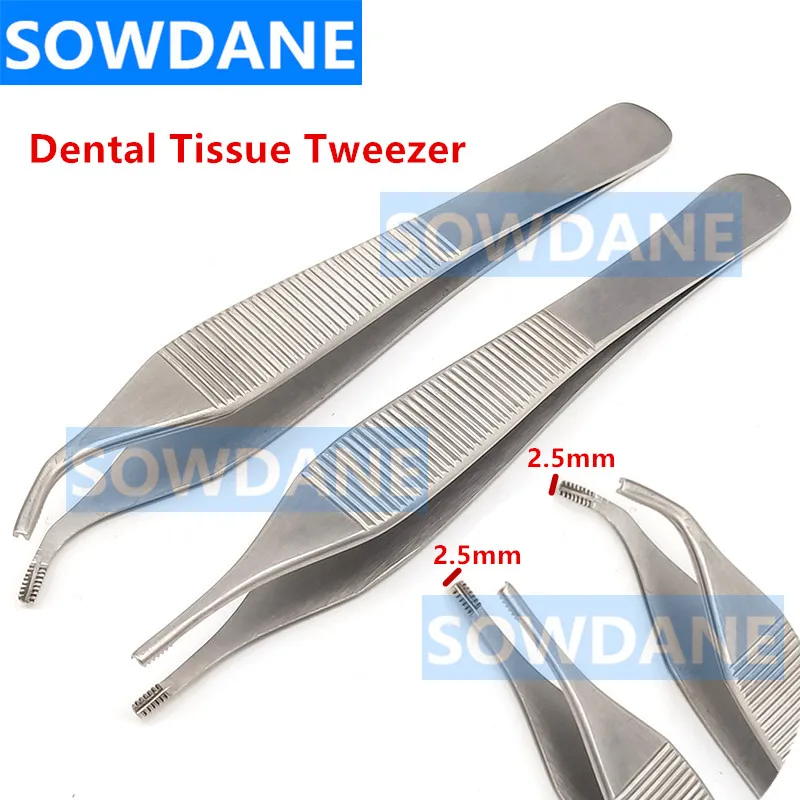 

Dental Surgical Tissue Tweezer Dental Forcep Extraction Hemostat Medical Tweezers Round Tip Straight 12cm Dental Surgery Tool