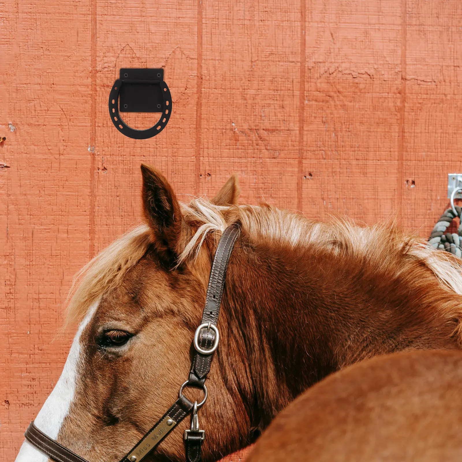 

2Pcs Horse Tie Ring Wall Mount Heavy Duty Rustproof Horse Barn Accessories Equestrian Cross Tie Down Ring