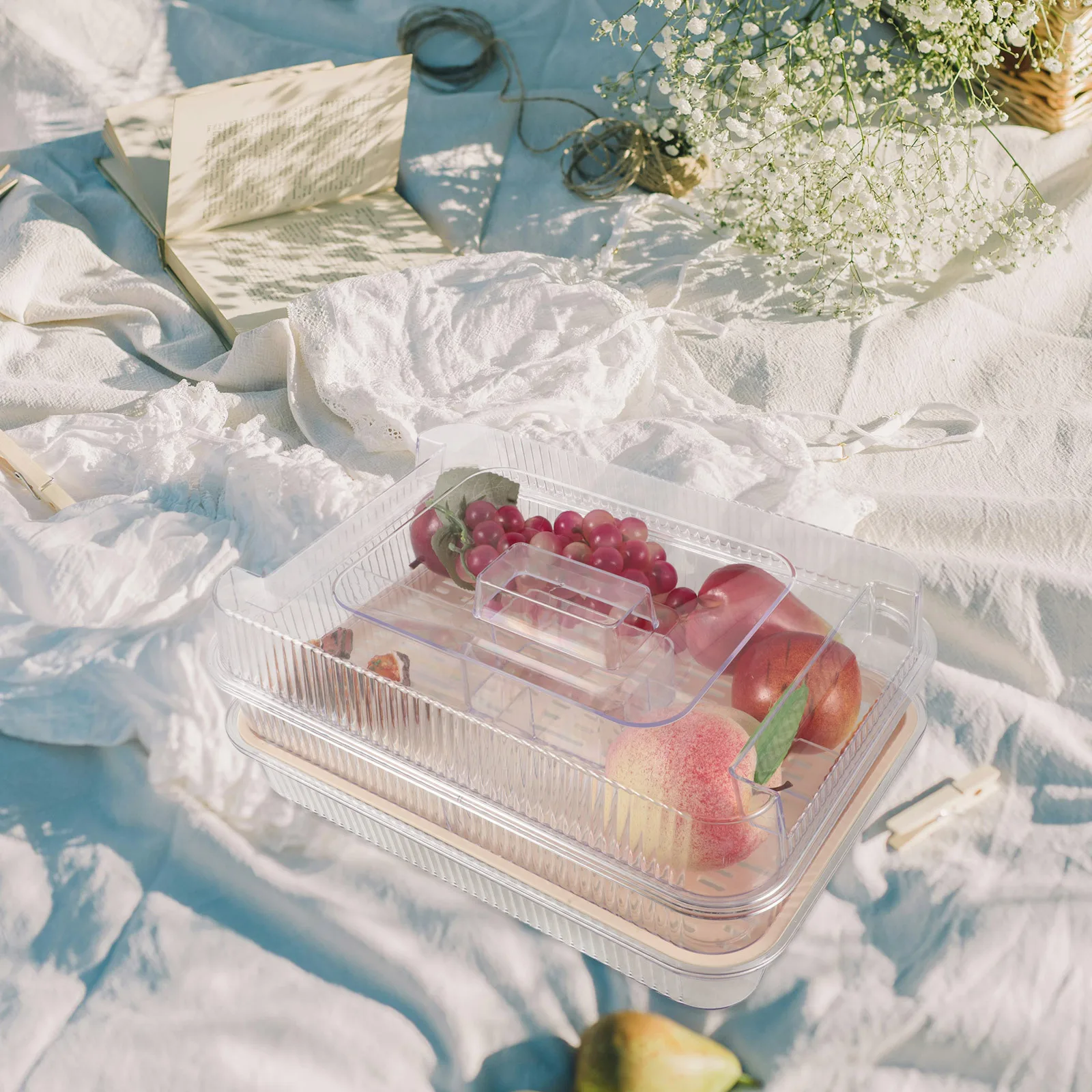 

Ice Box Chilled Serving Tray Clear Plastic Multi Compartment Portable Food Storage Container For Outdoor Picnics Camping