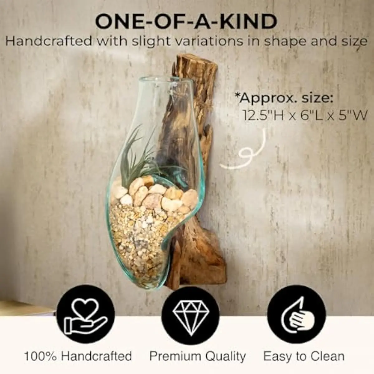 Wall-Mounted 12.5-Inch Handblown Glass Terrarium on Reclaimed Driftwood Base | Minimalist Indoor Planter for Air Plants Succulen