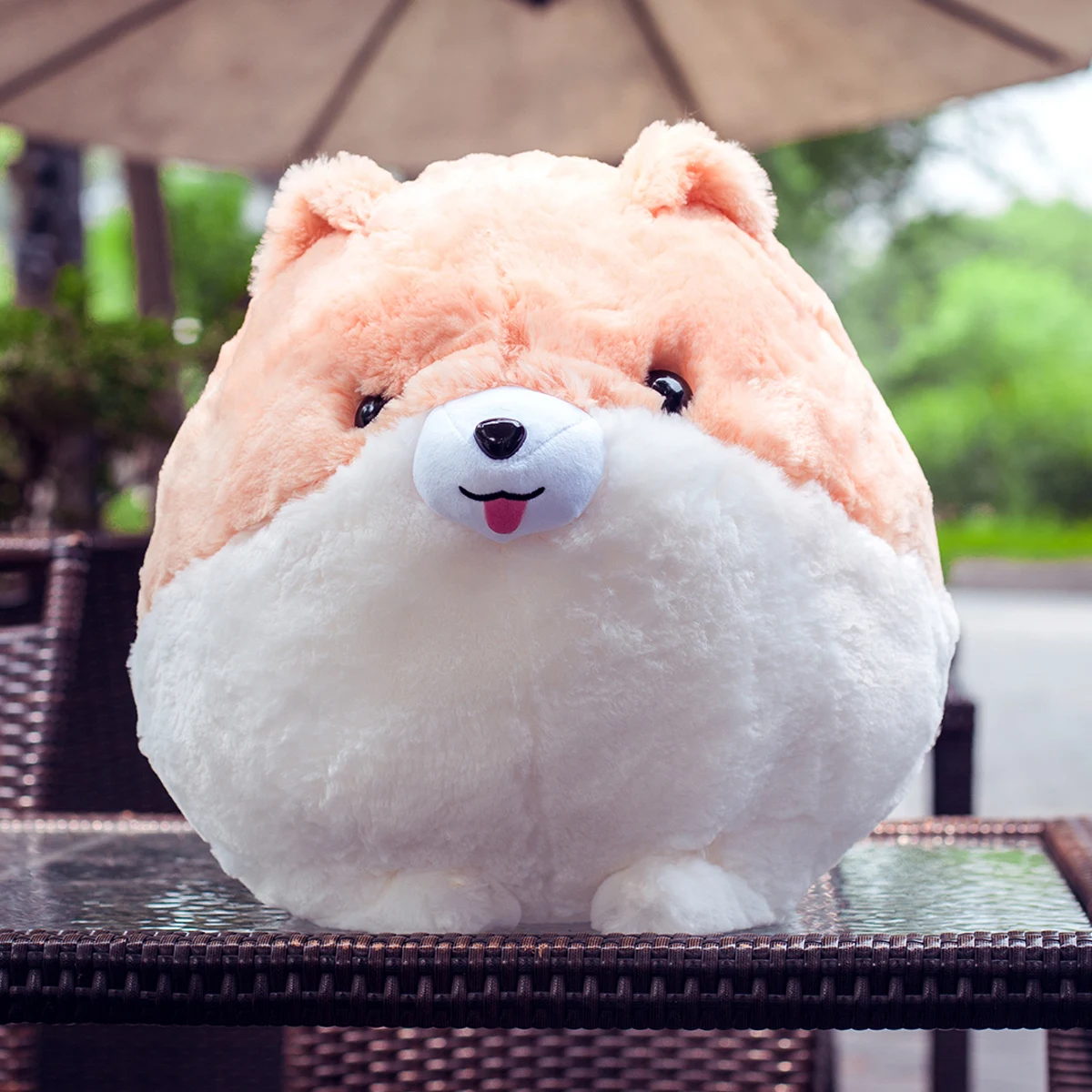 

A soft and cute, round and chubby Pomeranian plush toy, a pillow, a Pomeranian dog doll, a birthday party gift a home decoration