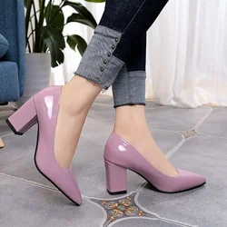 High-heeled Shoes Women 2024 Pointed Shallow Mouth Shoes Women's Thick-heeled Fashion Shoes Plus Size 43 Zapatos Para Mujer